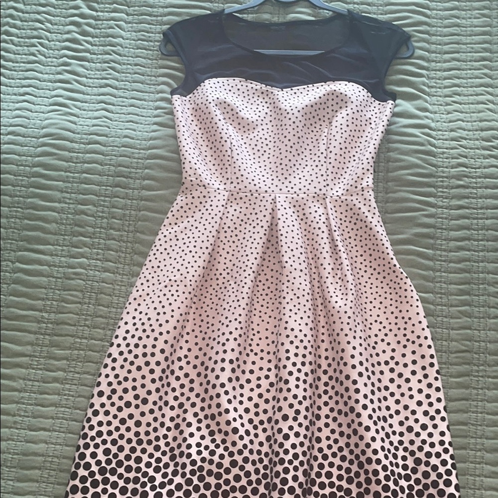 Blush pink and white knee-length polka dot Holiday dress see through panel sz 4